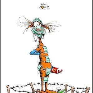 Meet your Posher, Fred